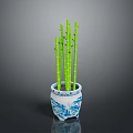 Blue And White Porcelain Pot With Green Bamboo For Home Decoration