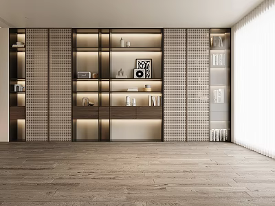 Modern Bookcase Interior Design With Layered Shelves Built in Lighting Decorative Items And Books 3d model