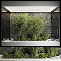 Modern Garden Decor Piece with Glass Container Green Plants and Rock Wall Background