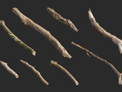 Dried Natural Tree Branches With Textured Bark Various Sizes And Organic Shapes 3d model
