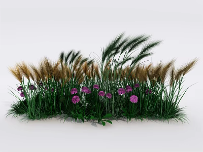Lush Green Grasses And Purple Flowers In Garden Landscape 3d model