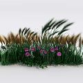 Lush Green Grasses And Purple Flowers In Garden Landscape