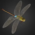 modern dragonfly 3d model