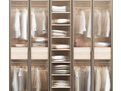 Elegant Modern Wardrobe Interior With Hanging Shirts Folded Clothes And Drawers 3d model