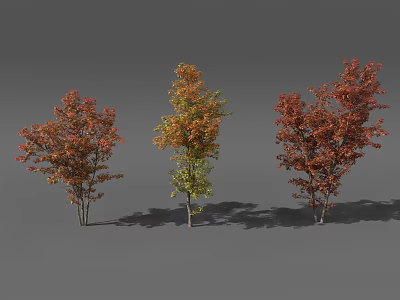 Three Arbor Trees With Colorful Autumn Leaves In Red Orange And Green 3d model