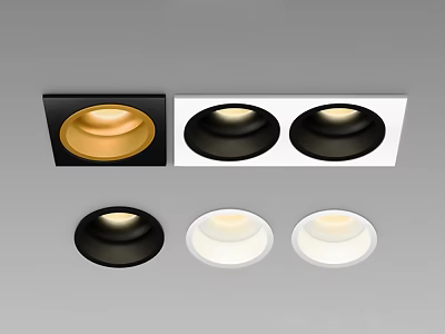 Stylish Downlights And Spotlights In Black White Gold With Single Double Ceiling Designs 3d model