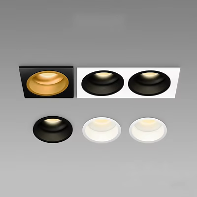 Stylish Downlights And Spotlights In Black White Gold With Single Double Ceiling Designs 3d model