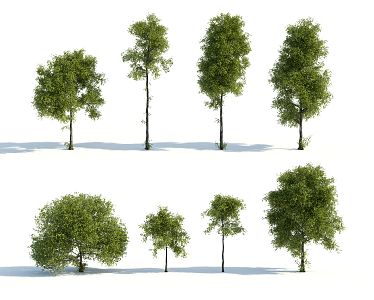 The Modern Tree 3d model