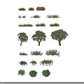 Different Varieties Of Shrubs With Green Foliage And Purple Flowers For Landscaping