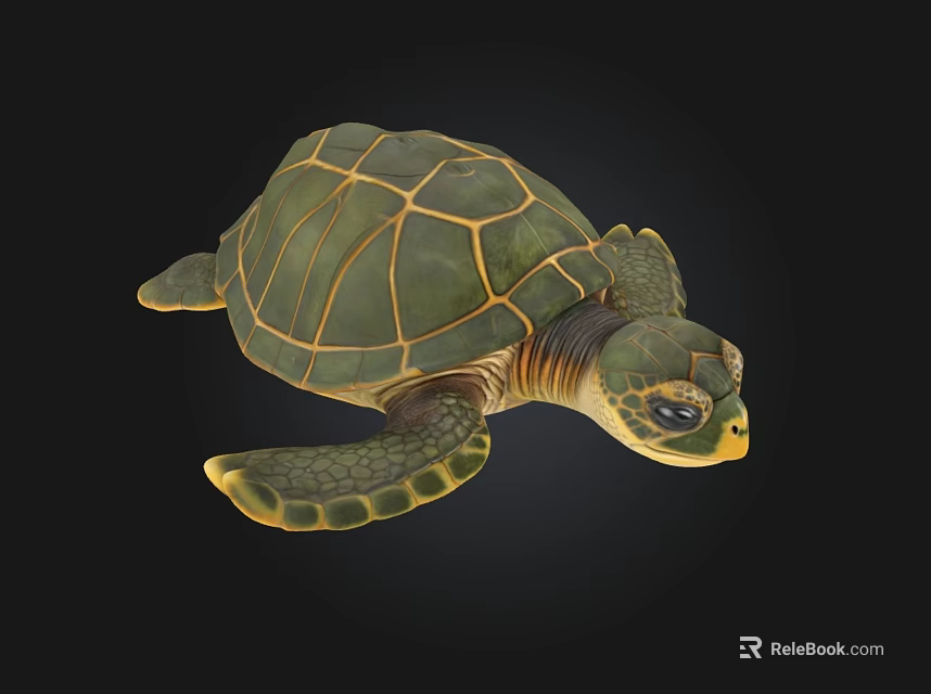 Detailed Green And Yellow Sea Turtle With Textured Shell And Swimming Flippers 3d model
