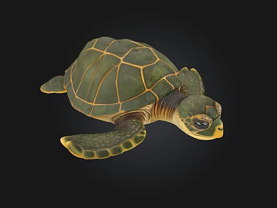 Detailed Green And Yellow Sea Turtle With Textured Shell And Swimming Flippers 3d model Detailed Green And Yellow Sea Turtle With Textured Shell And Swimming Flippers 3d model