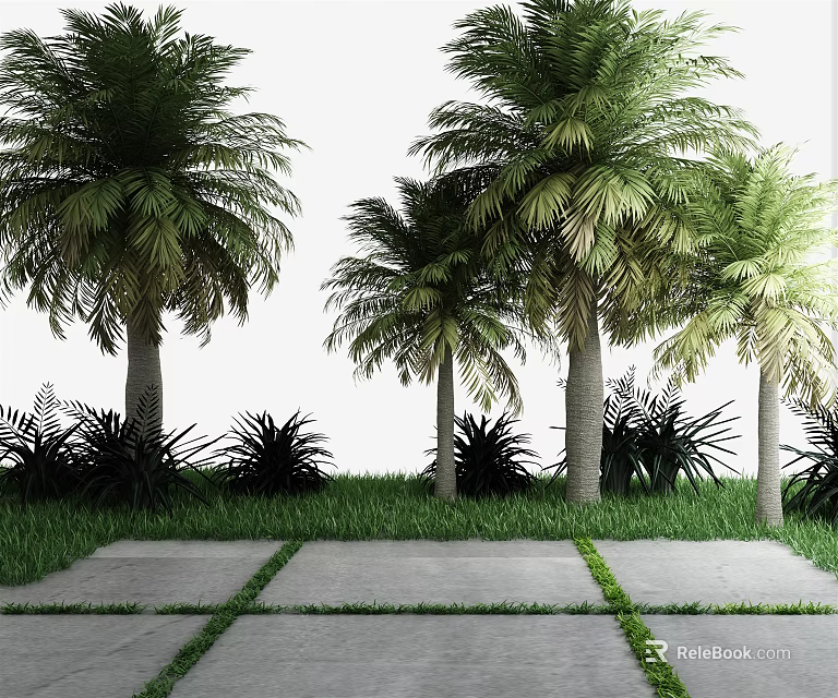 Lush Palm Trees in Garden with Green Grass and Stone Path 3d model 