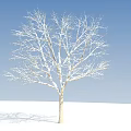Bare Tree with Snow Covered Branches Under Blue Sky on Snowy Ground 3d model
