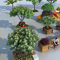 Diverse Tree Planters Featuring Different Trees Colorful Structures And Garden Seating Areas 3d model