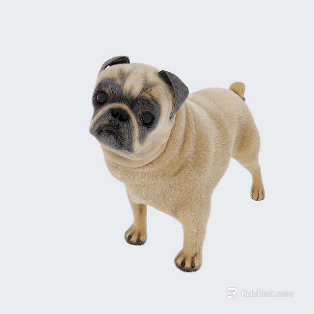 Realistic 3D Model of a Standing Pug with Light Brown Coat and Black Features 3d model 