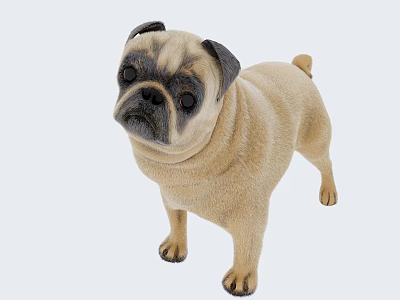 Pet dog 3d model