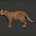 3D Rendered Young Cougar Model With Brown Spotted Fur And Standing Pose On Dark Background