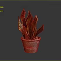 Snake Plant In Brown Clay Pot With Green And Yellow Leaves On Dark Background