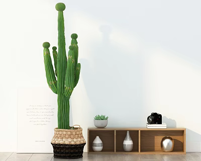 Tall Green Cactus Potted in Wicker Basket with Small Succulents on Wooden Shelf White Wall 3d model