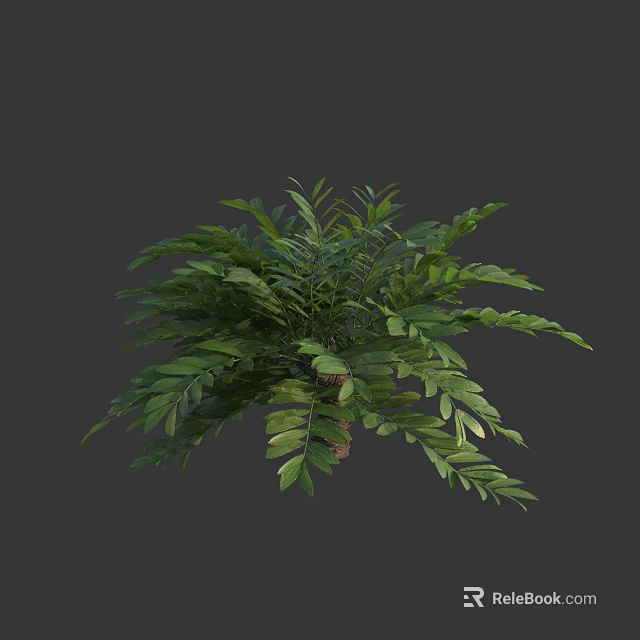 Lush Green Fern Plant With Vibrant Foliage And 3D Model Design 3d model 