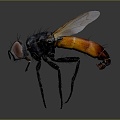 Modern fly insect cartoon fly fly animation fly 3d model