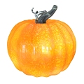 Pumpkin 3d model