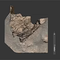 Detailed 3D Rock Model Display With Textured Base Small Stones And Label