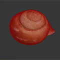 Orange and White Spiral Conch with Reflection on Dark Background