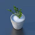 Bonsai Potted Plant with Fresh Green Leaves in Carved Stone Pot on Dark Smooth Surface