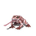 Poison Frog 3d model