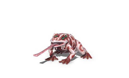 Poison Frog 3d model