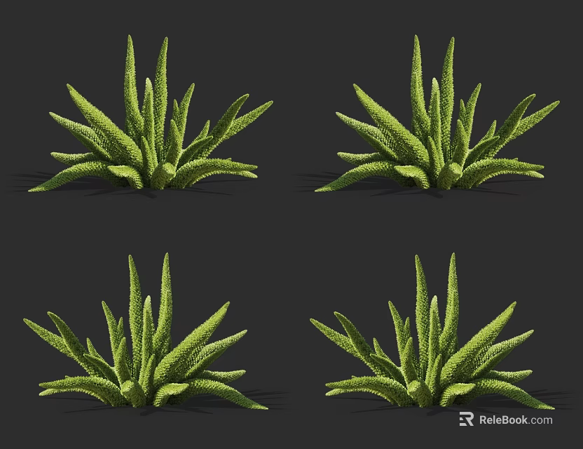 Four Potted Green Succulent Plants With Long Spiky Leaves On Dark Background 3d model 