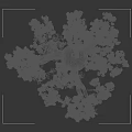 Bonsai Plant Baobab Tree With Thick Trunk Twisted Branches And Lush Green Leaves