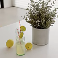 Fresh Lemon Drinks in Glass Jars with Straws Lemon Slices Green Plants in Gray Pot