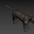 Realistic Puma 3D Model With Detailed Fur And Blue Eyes On Gray Background