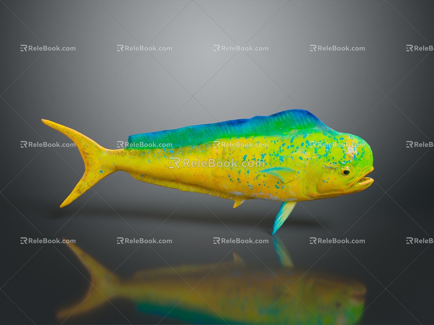 Tropical Fish Colorful Fish Ornamental Fish Aquarium Coral Fish Underwater Fish Color Fish Cartoon Fish Freshwater Fish 3d model