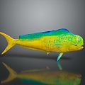 Tropical Fish Colorful Fish Ornamental Fish Aquarium Coral Fish Underwater Fish Color Fish Cartoon Fish Freshwater Fish 3d model