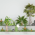 Lush Flower and Plant Display in Concrete Planter with Pineapple Palm Cactus and White Flower