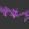 Three Leafless Trees with Bare Trunks and Branches on White Background with Reflection
