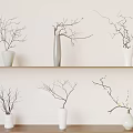 Various Shaped Vases With Twig Flowers On Wooden Shelves Light Wall Background