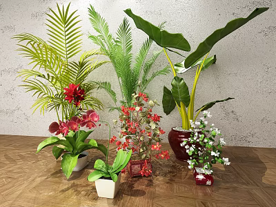 Bonsai Potted Plants with Various Colorful Flowers and Pots on Wooden Floor Gray Wall 3d model