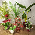 Bonsai Potted Plants with Various Colorful Flowers and Pots on Wooden Floor Gray Wall