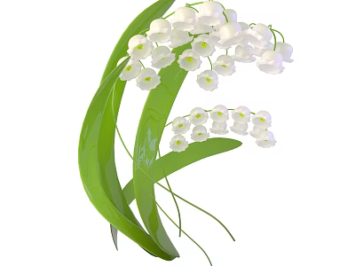 Beautiful Lily of the Valley With White Delicate Flowers And Green Leaves 3d model