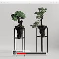 Decorative Bonsai Trees on Black Metal Stands in Minimalist Light Gray Background