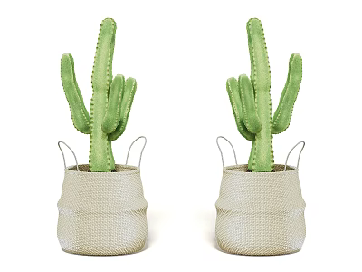 Two Potted Cactus Plants In Woven Pots For Home Decoration 3d model
