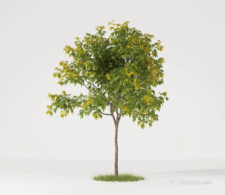 Arbor Tree With Green And Yellow Leaves Brown Trunk And Grass Base 3d model 