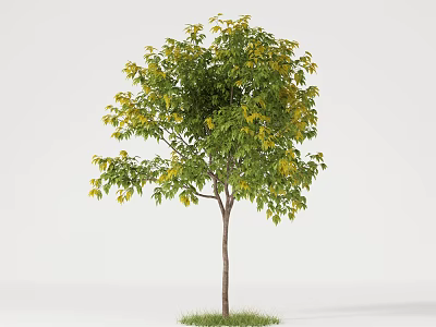 Arbor Tree With Green And Yellow Leaves Brown Trunk And Grass Base 3d model