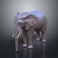 Detailed Realistic 3D Elephant Model Standing Isolated On Dark Background
