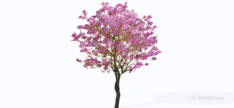 Stunning Flowering Tree with Lush Pink Blooms and Dark Trunk 3d model 