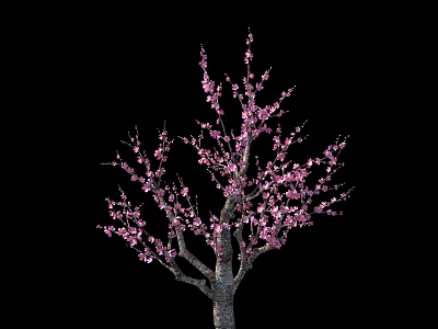 Arbor With Delicate Pink Flowers Blooming On Slender Branches Against Black Background 3d model